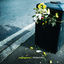 Cover Pessima idea