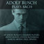 Cover Adolf Busch Plays Bach