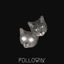 Cover Followin'
