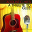 Cover Acoustic Hits - A Tribute to Glee