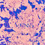 Cover Veno