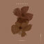 Cover Sorry