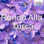 Cover Rondo Alla Turca