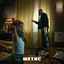 Cover Метис