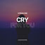 Cover Cry For You