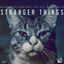 Cover Stranger Things