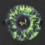 Cover Anathema