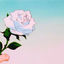 Cover Is It Too Much to Ask For - EP