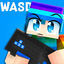 Cover WASD