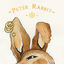 Cover PETER RABBIT
