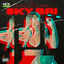 Cover SKY BRI