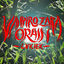 Cover Vanpiro Zara Orain