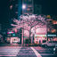 Cover Tokyo