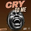Cover Cry to Me (LeadbacK Remix)