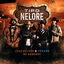 Cover Tipo Nelore