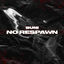 Cover No Respawn