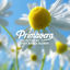 Cover Primavera Selected by José Maria Ramon
