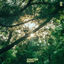Cover Sparks
