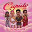 Cover Cupido FDP