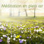 Cover Méditation en plein air – Yoga, méditation et salutation au soleil avec la nature, bruit de tonnerre, pluie, chant d'oiseaux et va