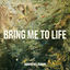 Cover Bring Me to Life