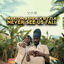Cover Never See Us Fall