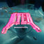 Cover AYER