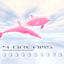 Cover 4 Dreams