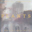 Cover Plants