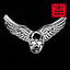 Cover My Only Angel