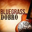 Cover Bluegrass Dobro