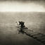 Cover The Gloaming