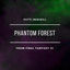 Cover Phantom Forest (From "Final Fantasy VI")