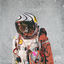 Cover Houston