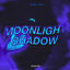 Cover Moonlight Shadow (Techno)