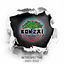 Cover Bonzai Records - Retrospective 2001/2002