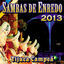 Cover Sambas De Enredo Das Escolas De Samba - 2013