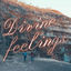 Cover Divine Feelings