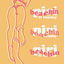Cover beachin