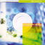 Cover Sweetness Of Joy