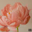 Cover Symphonie