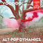 Cover Voodoo Alt-Pop Dynamics