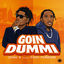Cover Goin Dummi (feat. Fivio Foreign)