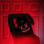 Cover GHOSTS