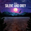 Cover Silent and Grey