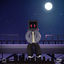 Cover Dancing in the Moonlight
