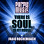 Cover Fabio Rochembach Presents There Is Soul in My House Vol. 33