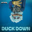 Cover Duck Down