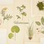 Cover Herbarium