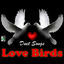 Cover Love Birds